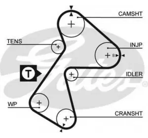 L11РЕМЕНЬ ГРМ GATES 5484XS на RENAULT EXTRA фургон (F40_, G40_) L11РЕМЕНЬ ГРМ GATES 5484XS на RENAULT EXTRA фургон (F40_, G40_)