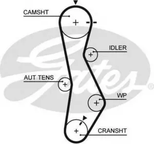 Ремень грм GATES 5579XS на KIA SPORTAGE (JE_, KM_) Ремень грм GATES 5579XS на KIA SPORTAGE (JE_, KM_)