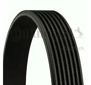 L12РЕМЕНЬ РУЧЕЙКОВЫЙ CONTITECH 7PK1749 на NISSAN FRONTIER / NP300 (D40) L12РЕМЕНЬ РУЧЕЙКОВЫЙ CONTITECH 7PK1749 на NISSAN FRONTIER / NP300 (D40)