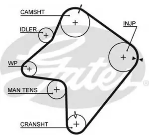 L11РЕМЕНЬ ГРМ GATES 5354XS на MAZDA 626 Mk III (GD) L11РЕМЕНЬ ГРМ GATES 5354XS на MAZDA 626 Mk III (GD)