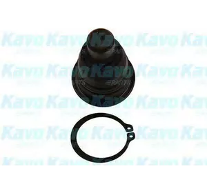 Опора рычага шаровая 555 SB4942 на NISSAN X-TRAIL (T31) Опора рычага шаровая 555 SB4942 на NISSAN X-TRAIL (T31)