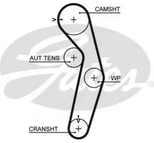 L11РЕМЕНЬ ГРМ GATES 5445XS на MITSUBISHI CARISMA (DA_) L11РЕМЕНЬ ГРМ GATES 5445XS на MITSUBISHI CARISMA (DA_)