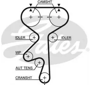 L11РЕМЕНЬ ГРМ GATES 5408XS на OPEL ASTRA F (56_, 57_) L11РЕМЕНЬ ГРМ GATES 5408XS на OPEL ASTRA F (56_, 57_)