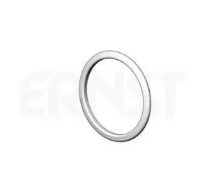 A3ПРОКЛАДКА ГЛУШИТЕЛЯ NISSAN 2069157E01 на FORD FIESTA Mk IV (JA_, JB_) A3ПРОКЛАДКА ГЛУШИТЕЛЯ NISSAN 2069157E01 на FORD FIESTA Mk IV (JA_, JB_)