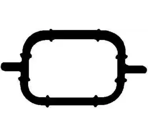 Прокладка впускного коллектора ELRING 074990 на BMW 3 седан (E46) Прокладка впускного коллектора ELRING 074990 на BMW 3 седан (E46)