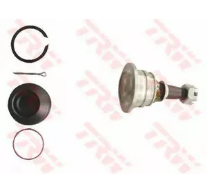 Опора рычага шаровая 555 SB3881 на TOYOTA HILUX (VIGO) III пикап (TGN1_, GGN2_, LAN_, GGN1_, KUN2_, KU Опора рычага шаровая 555 SB3881 на TOYOTA HILUX (VIGO) III пикап (TGN1_, GGN2_, LAN_, GGN1_, KUN2_, KU