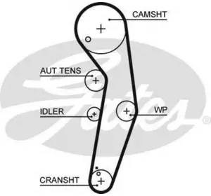 L11РЕМЕНЬ ГРМ GATES 5569XS на VW CADDY III фургон (2KA, 2KH, 2CA, 2CH) L11РЕМЕНЬ ГРМ GATES 5569XS на VW CADDY III фургон (2KA, 2KH, 2CA, 2CH)