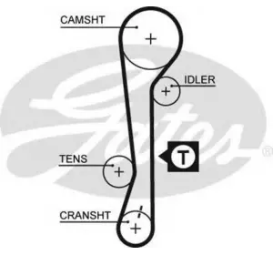 Ремень грм GATES 5479XS на HYUNDAI EXCEL I (X-3) Ремень грм GATES 5479XS на HYUNDAI EXCEL I (X-3)
