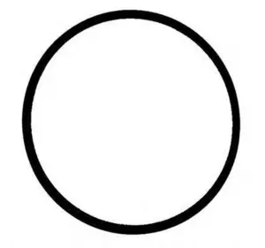 Прокладка впускного коллектора VICTOR REINZ 717754600 на BMW 3 седан (E46) Прокладка впускного коллектора VICTOR REINZ 717754600 на BMW 3 седан (E46)