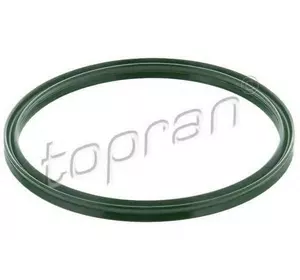 Кольцо уплотнительное BMW 11617791470 на BMW X5 (E53) Кольцо уплотнительное BMW 11617791470 на BMW X5 (E53)