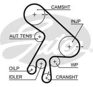 Ремень грм TOYOTA 13568YZZ02 на TOYOTA AVENSIS Liftback (_T22_) Ремень грм TOYOTA 13568YZZ02 на TOYOTA AVENSIS Liftback (_T22_)