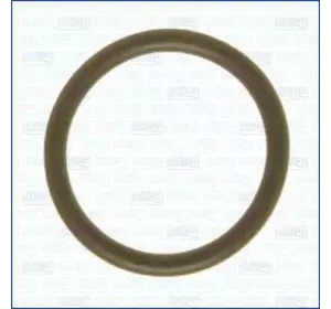 Кольцо уплотнительное NISSAN 2104931U00 Кольцо уплотнительное NISSAN 2104931U00