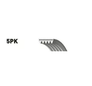 L12РЕМЕНЬ РУЧЕЙКОВЫЙ GATES 5PK2063 на BMW 7 седан (E38) L12РЕМЕНЬ РУЧЕЙКОВЫЙ GATES 5PK2063 на BMW 7 седан (E38)