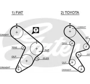 L11РЕМЕНЬ ГРМ MITSUBOSHI 139ZA25 на FIAT REGATA седан (138) L11РЕМЕНЬ ГРМ MITSUBOSHI 139ZA25 на FIAT REGATA седан (138)
